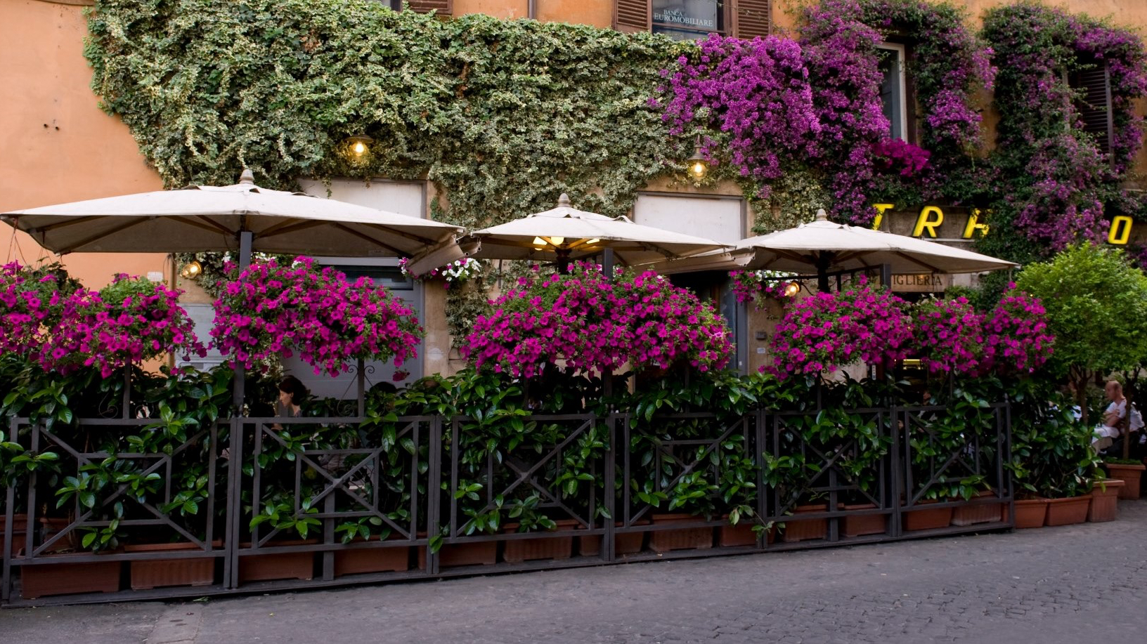 Trattoria Tritone 1884 - Antonio Camponeschi