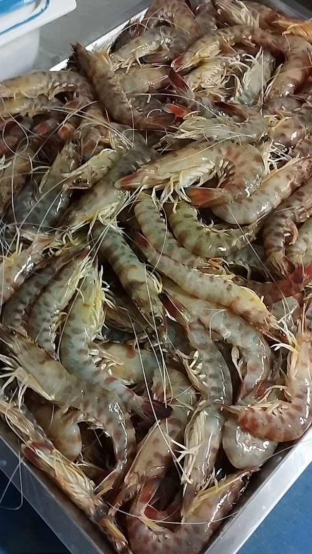 Trattoria L'angolino