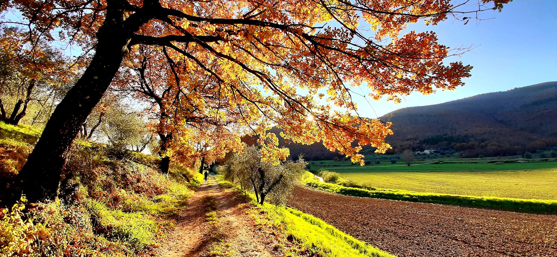 Travalle