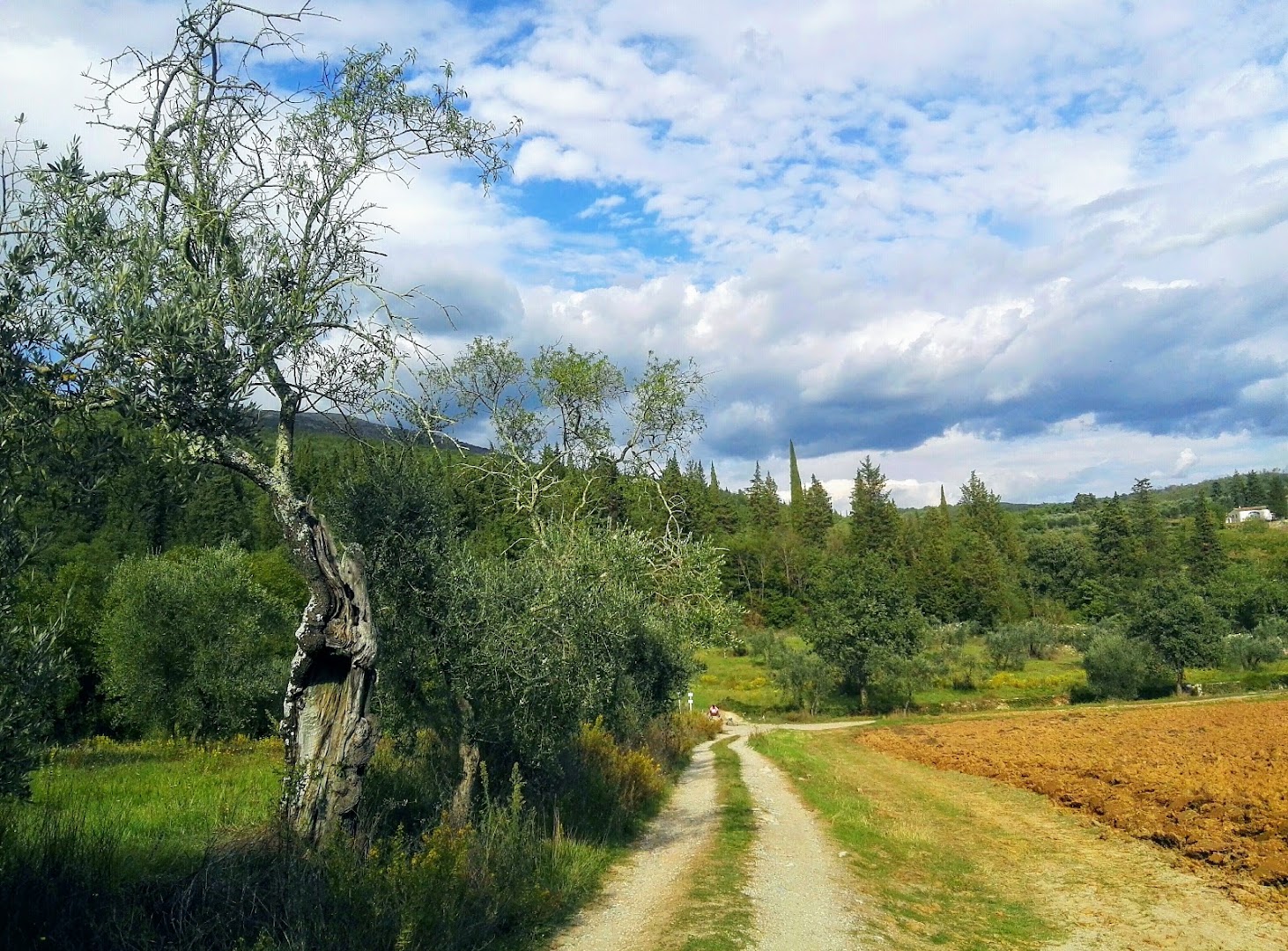 Travalle