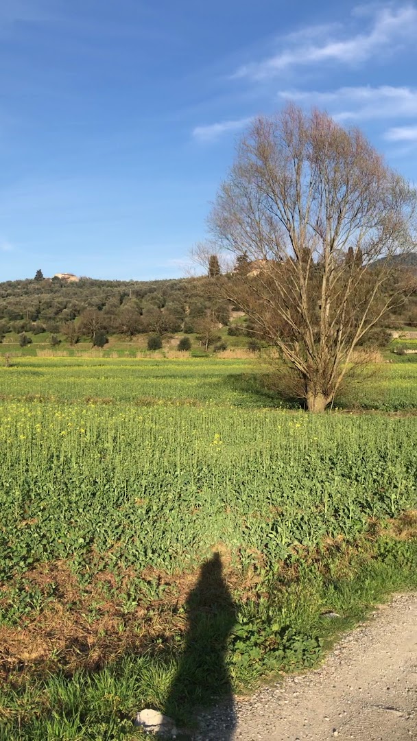 Travalle