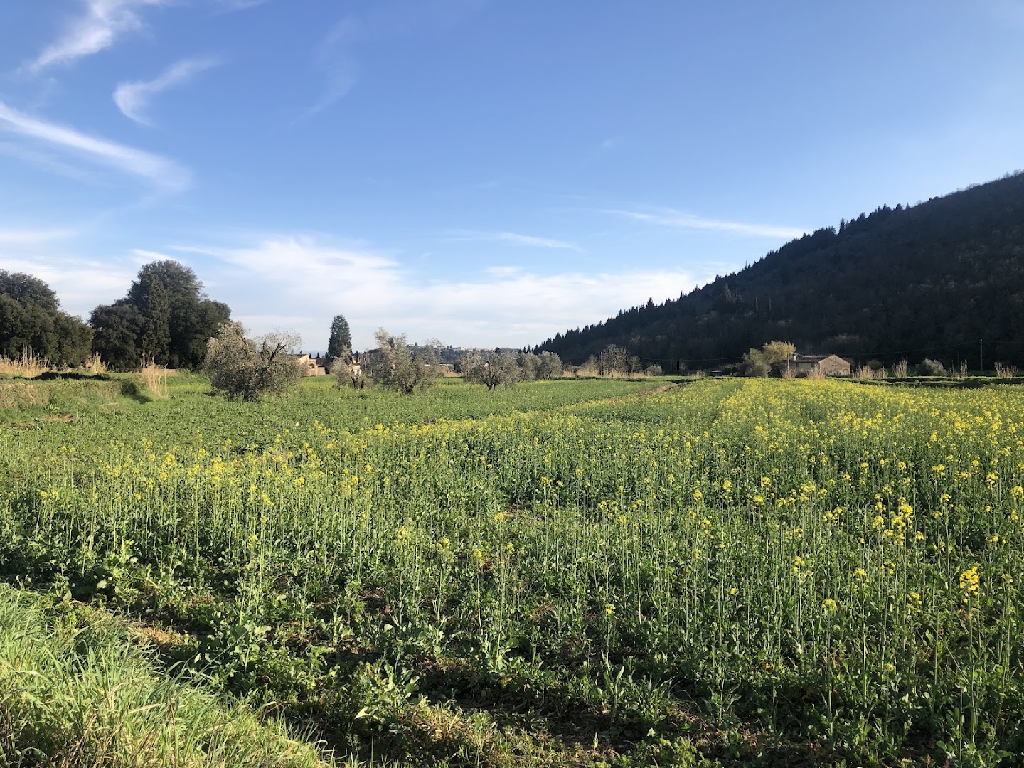 Travalle