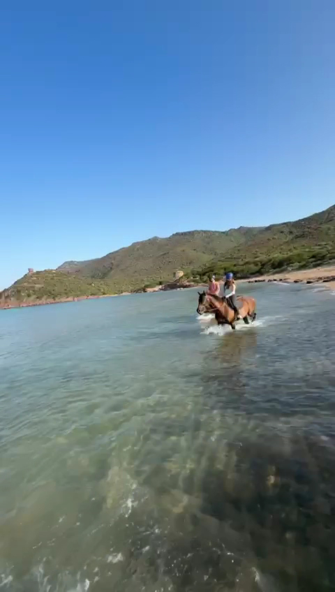 Tre Stelle Sa Mandra