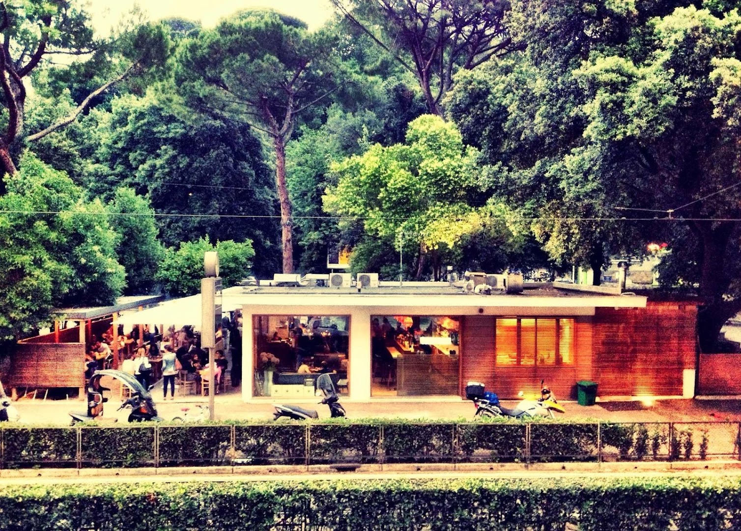 Treebar, Roma