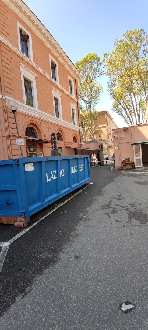 Tribunale Ordinario di Roma - Settore Civile