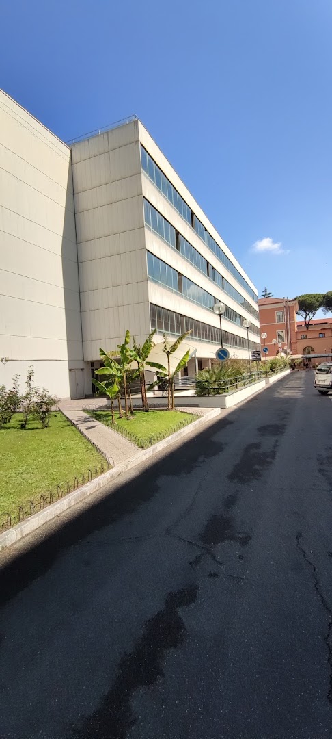 Tribunale Ordinario di Roma - Settore Civile