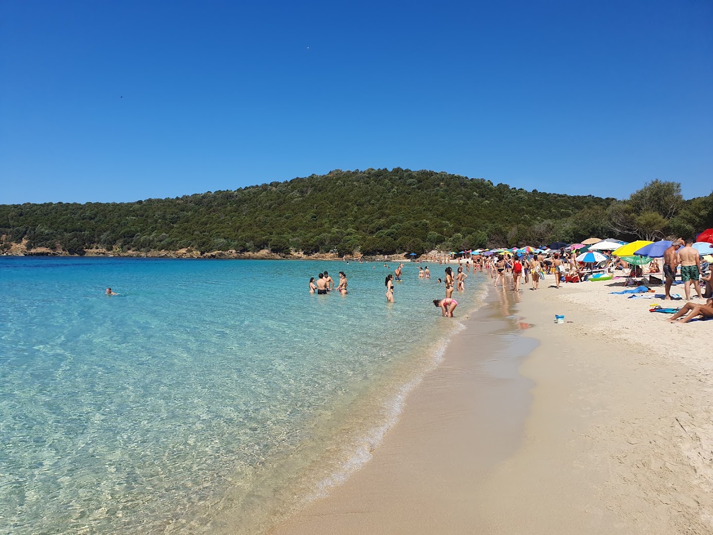 Tropico Mediterraneo