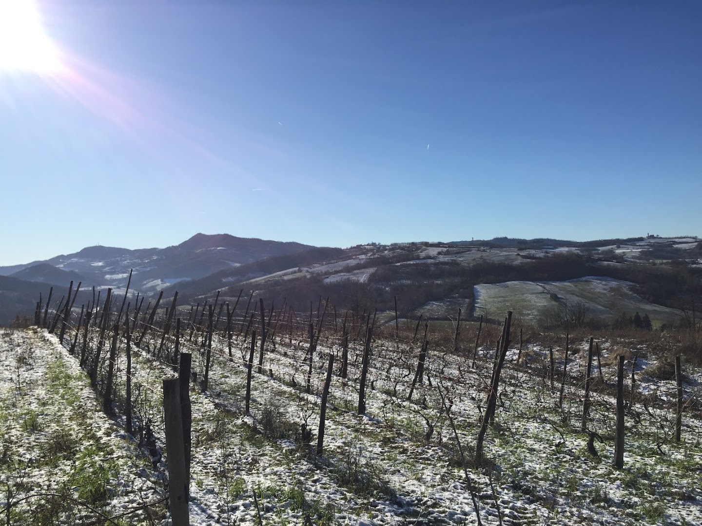 TRUFFLE TOUR