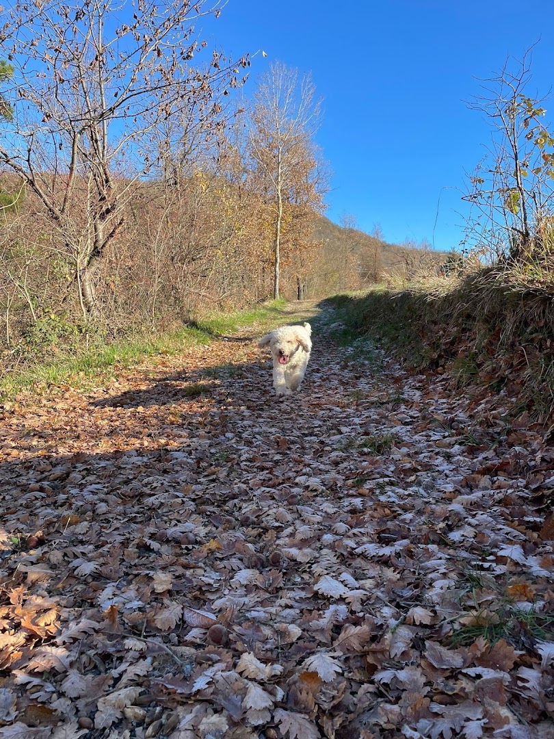 TRUFFLE TOUR