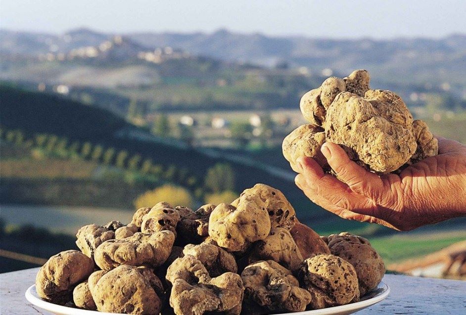 Ttcom Italia di Caccinelli Paolo Perugia