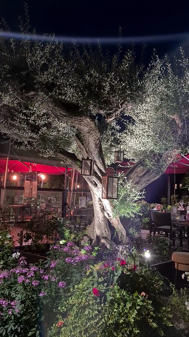 Tucí Café
