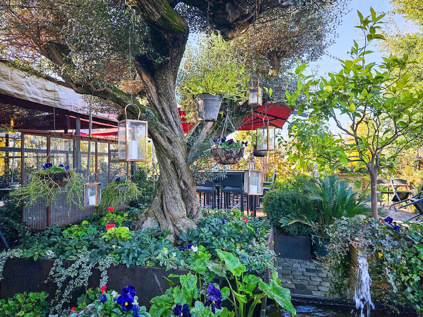 Tucí Café