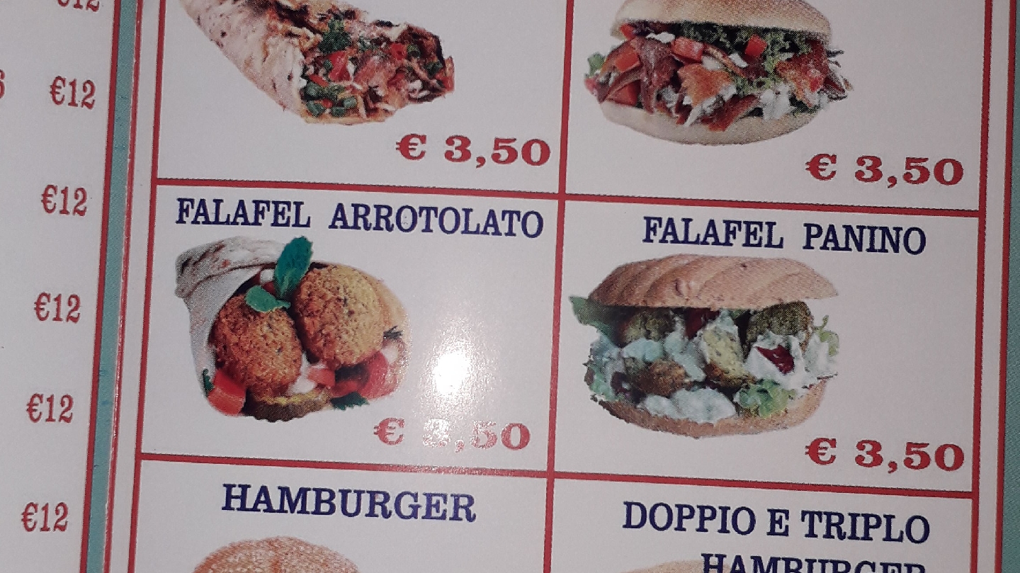 Turckish Saluzzo Kebab