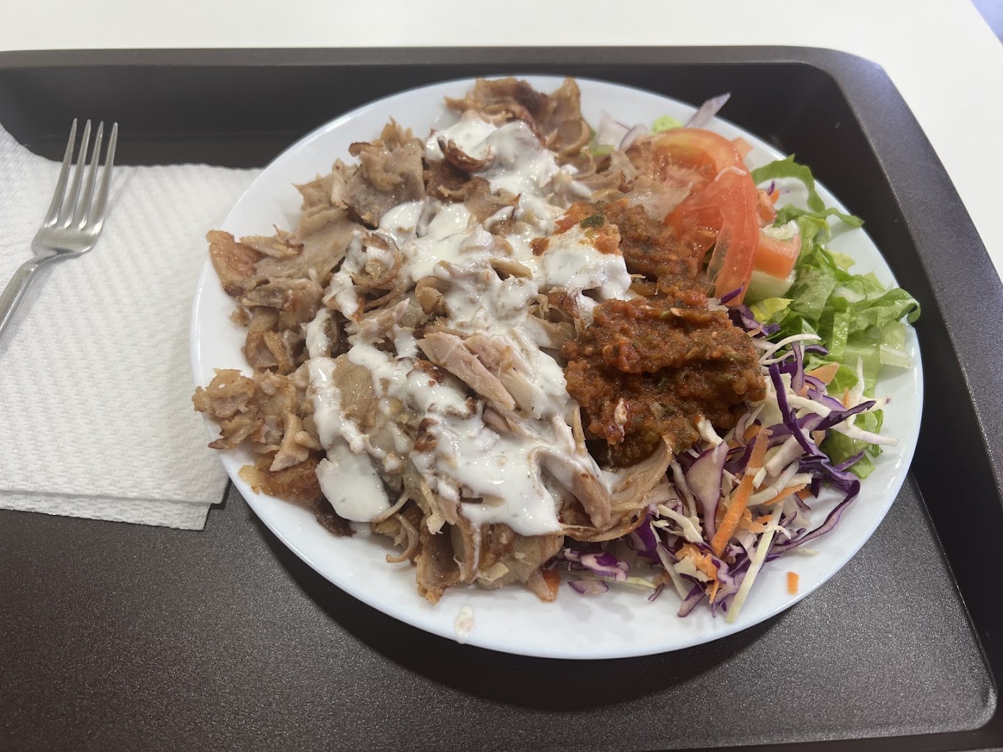 Turkish Kebab and Pizza
