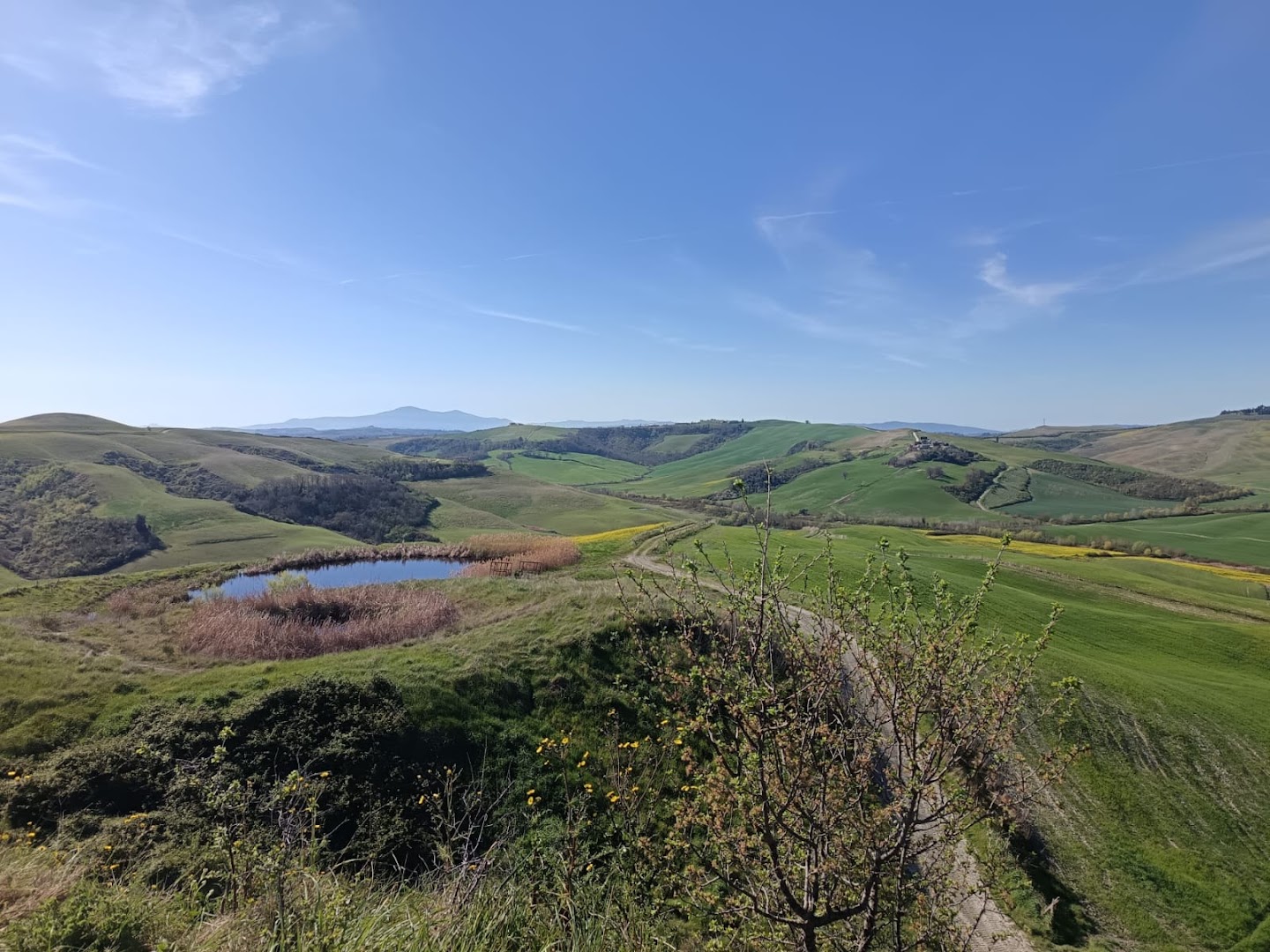 Tuscany Adventure - Escursioni in Quad Siena, Toscana, Podere Fornace, Asciano