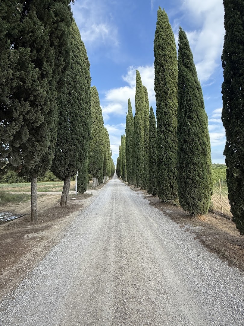 Tuscany Adventure - Escursioni in Quad Siena, Toscana, Podere Fornace