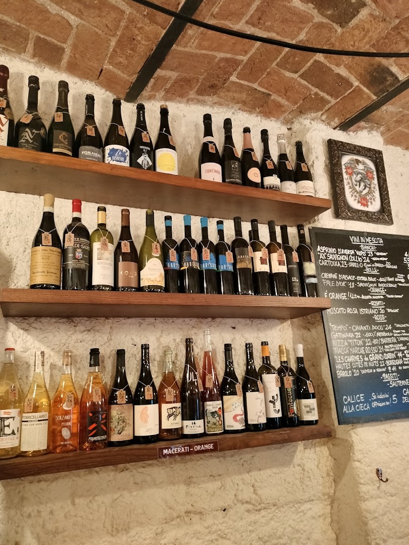 Tut Vin, Torino