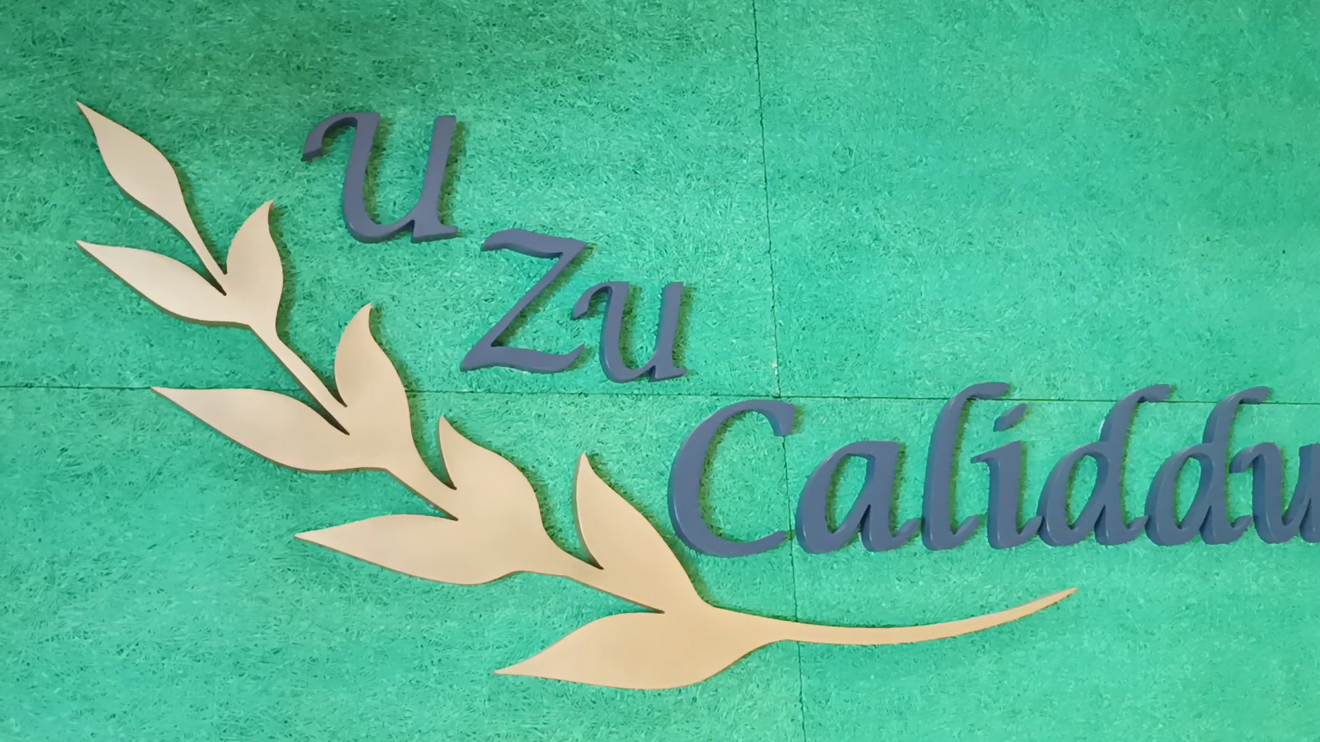 U Zú Caliddu
