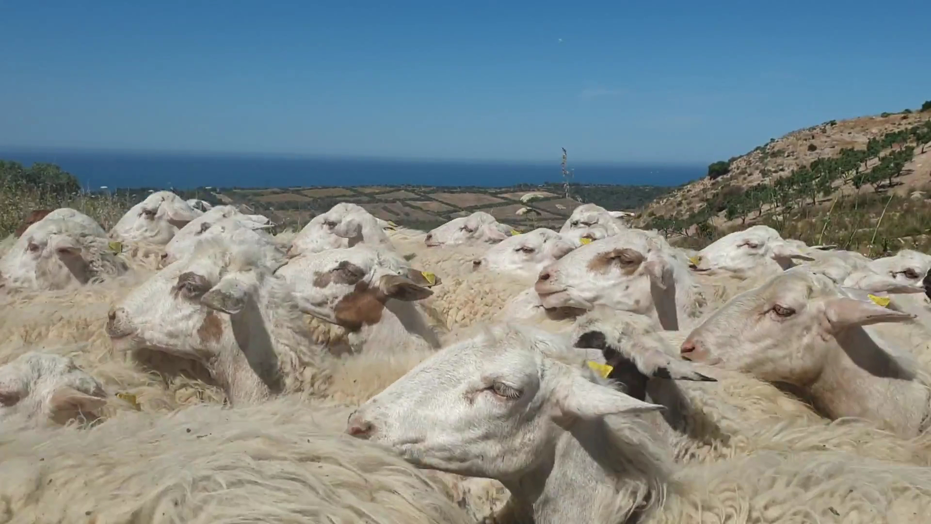 UFFICIO Riserva Naturale Orientata di Torre Salsa, Siculiana
