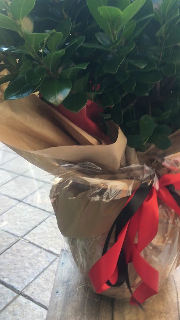 Un Fiore Per Te
