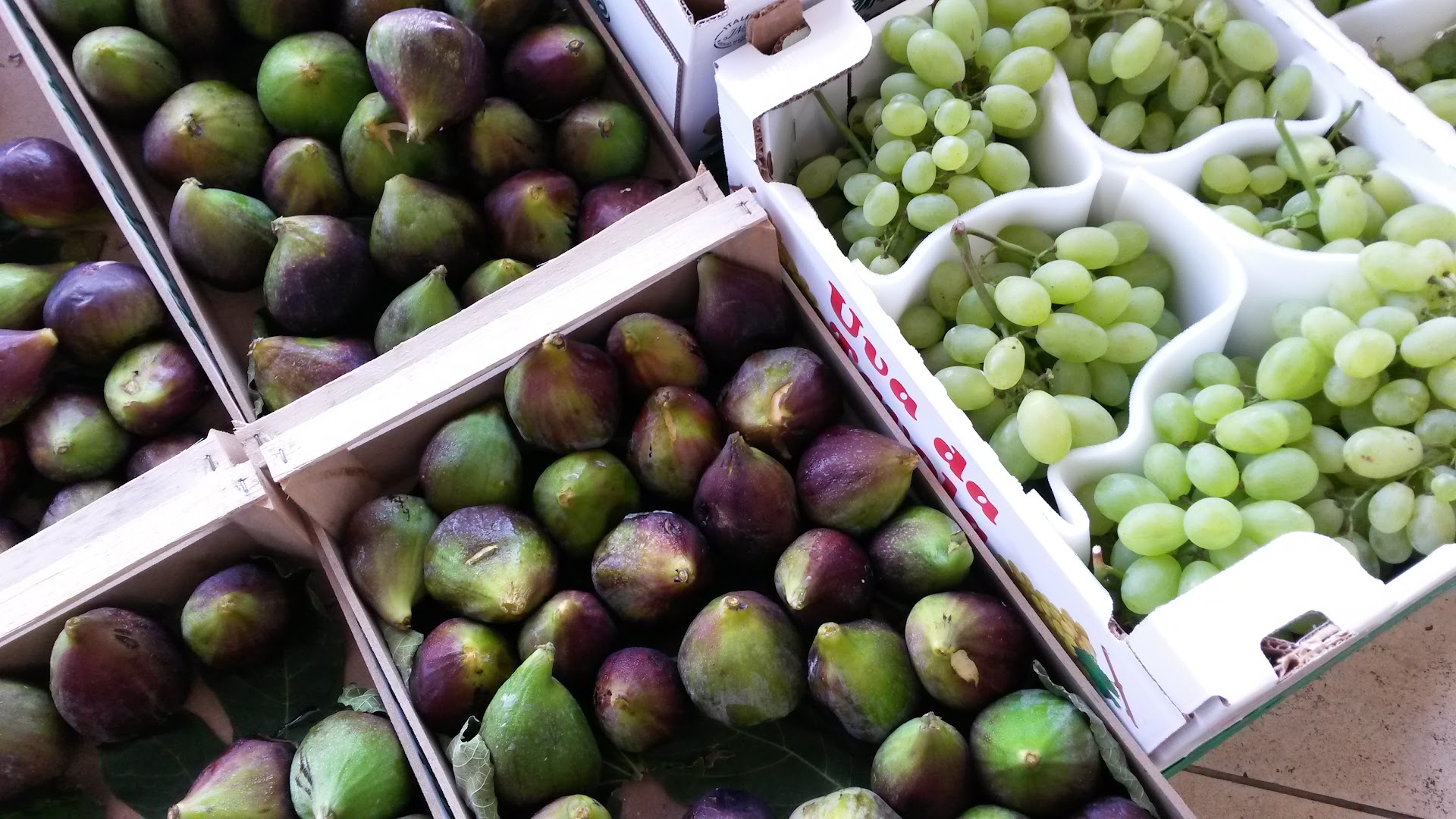 Un Mondo Di Frutta