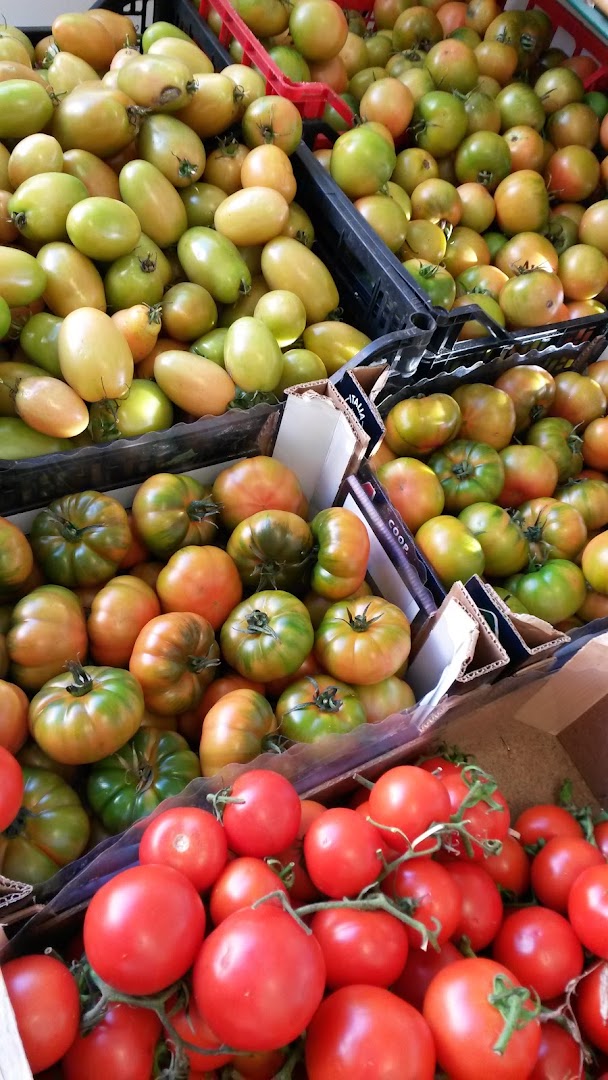Un Mondo Di Frutta