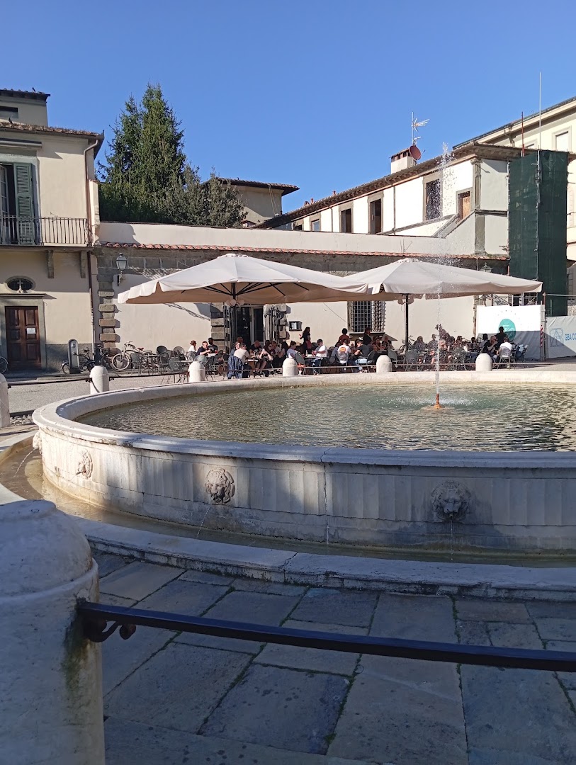 Undici Undici Lucca, Lucca