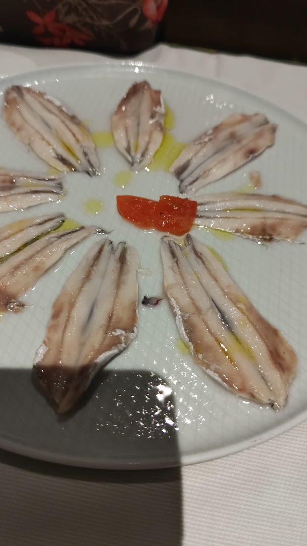 Vagabondo di Mare