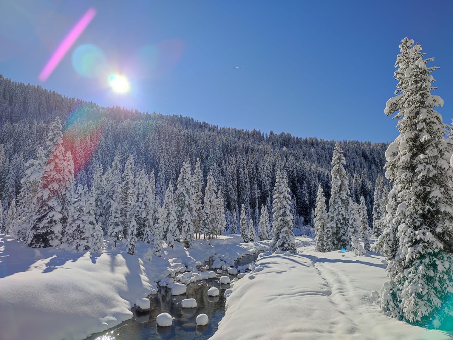 Val Venegia