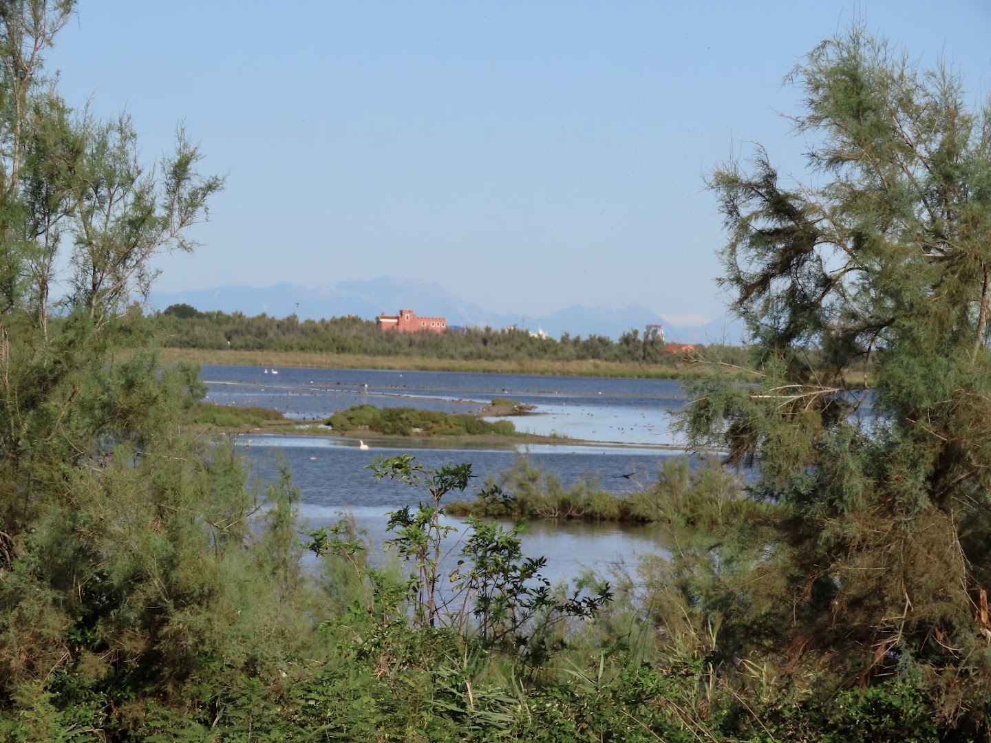 Valle Ca’ Pisani
