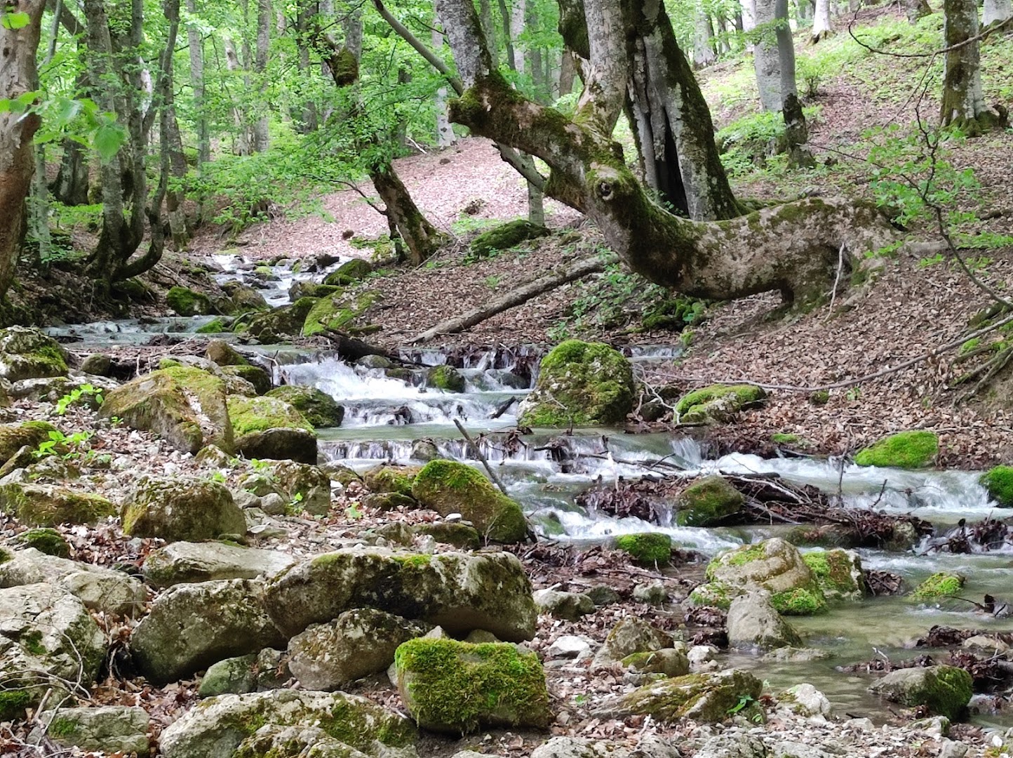 Valle del Chiarino