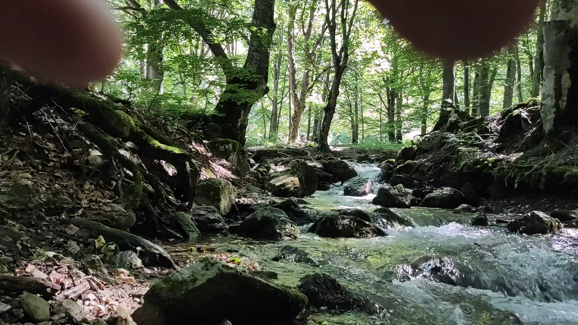 Valle del Chiarino
