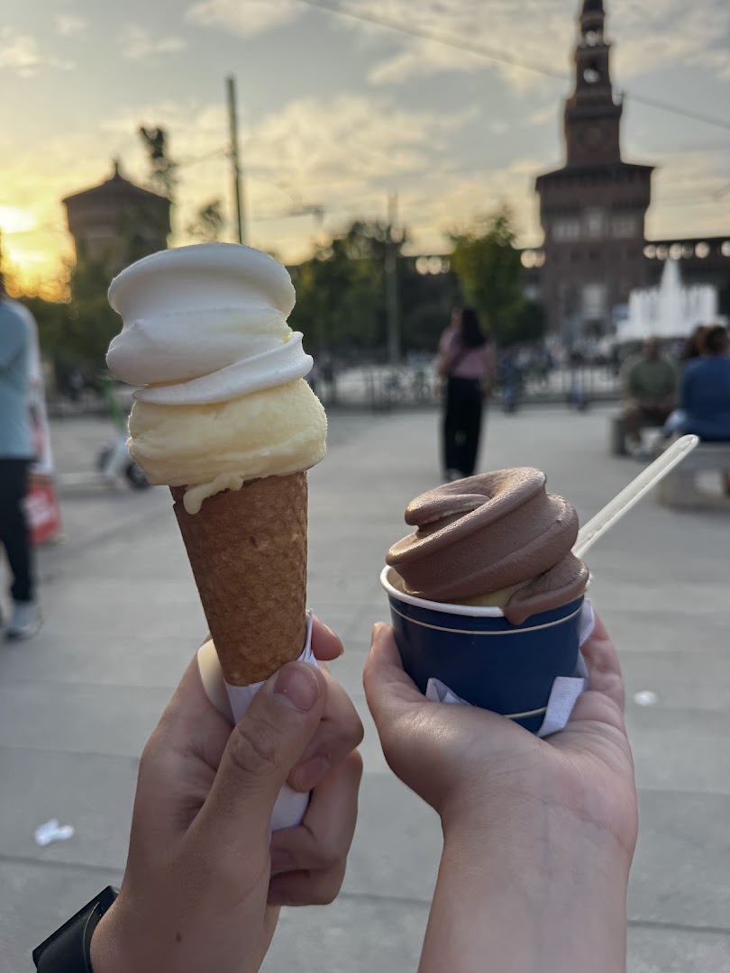 Van Bol & Feste