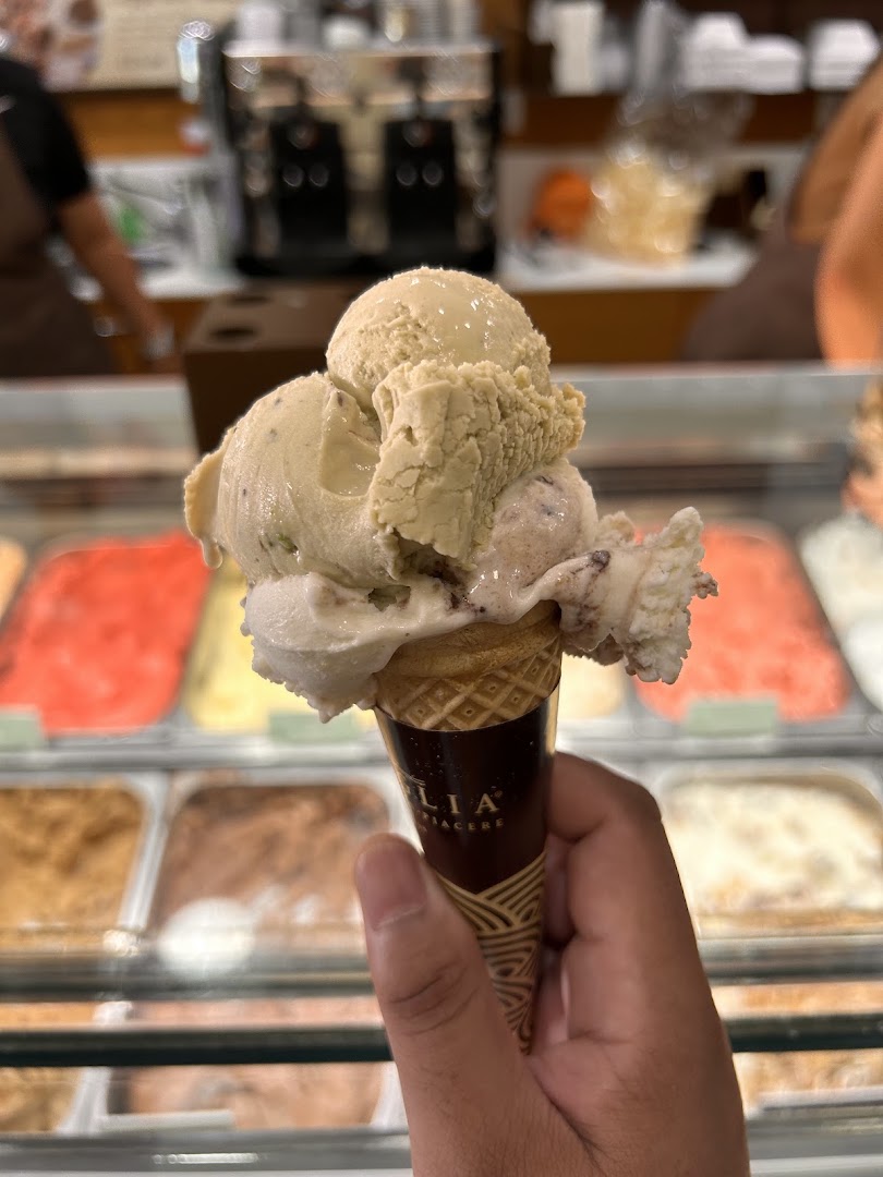 Vaniglia Gelaterie - Piazzola Sul Brenta