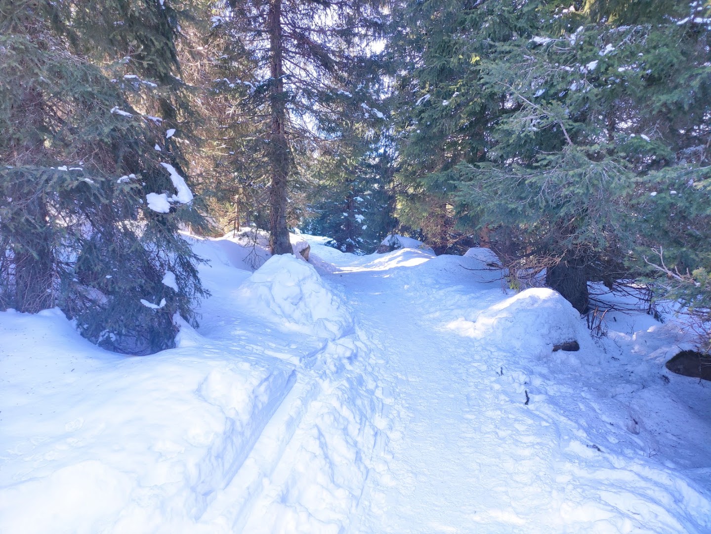 Vecchio Rifugio Colbricon