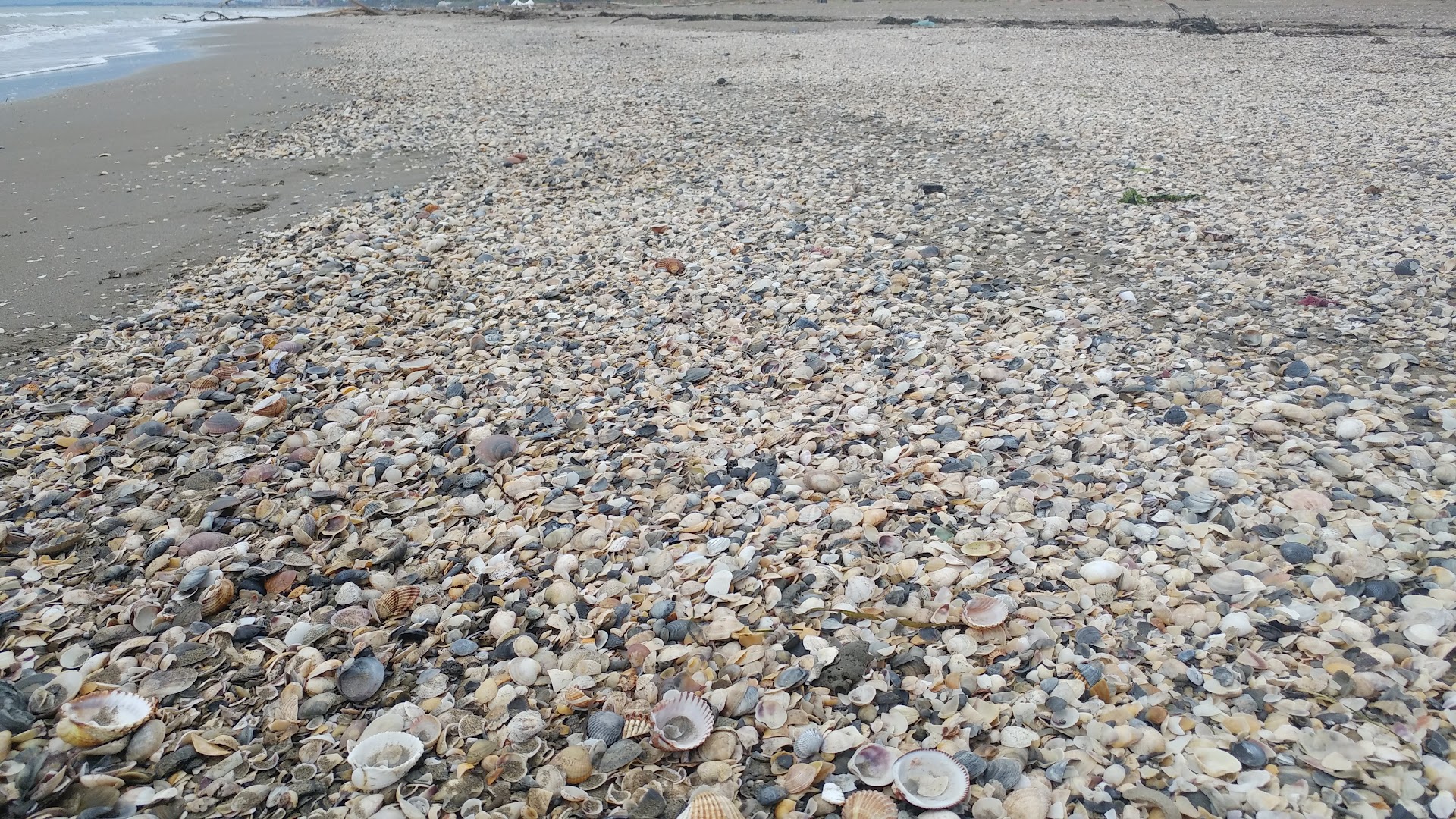 Venezia Spiagge (S.P.A.)