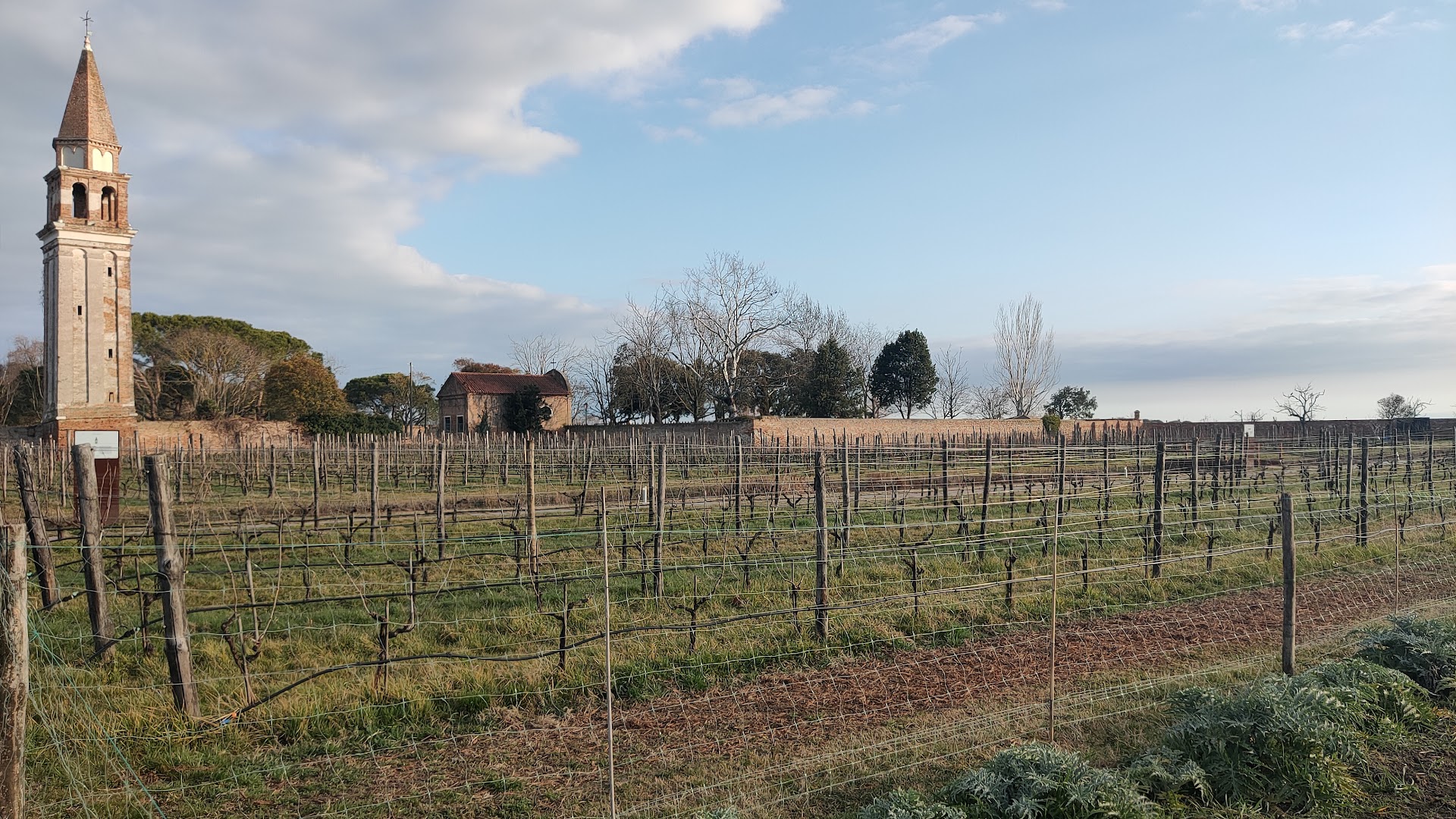 Venissa Wine Resort, Venezia