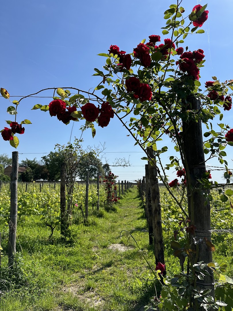 Venissa Wine Resort