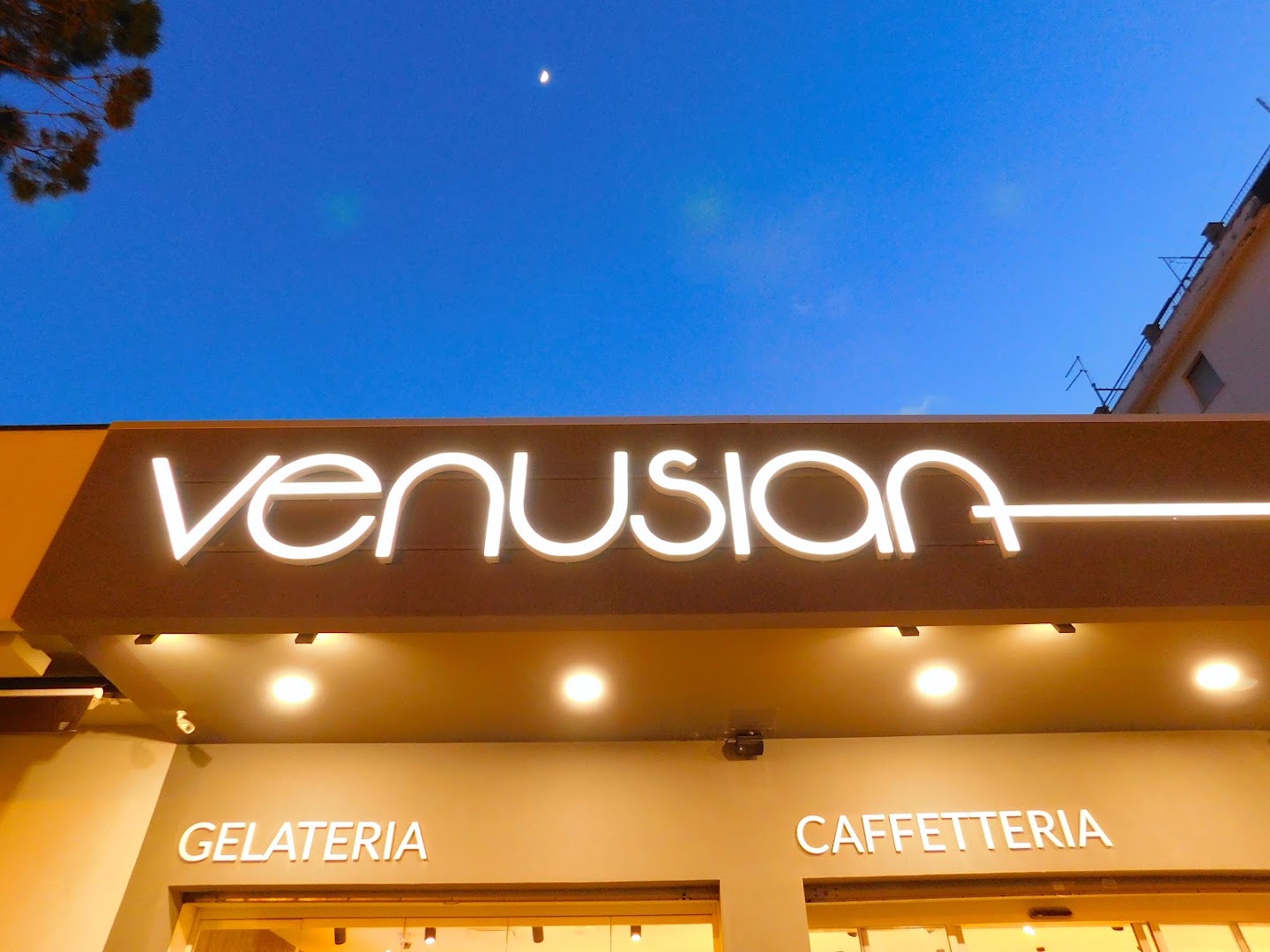 Venusian • Cocktail & Gelateria