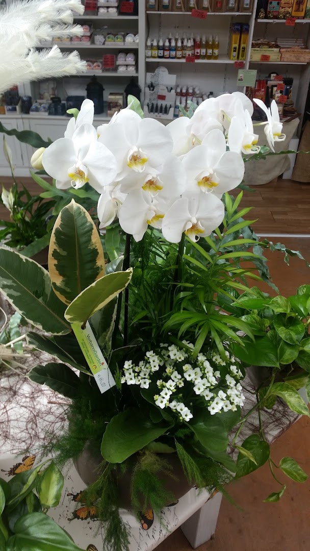 Verbano Garden
