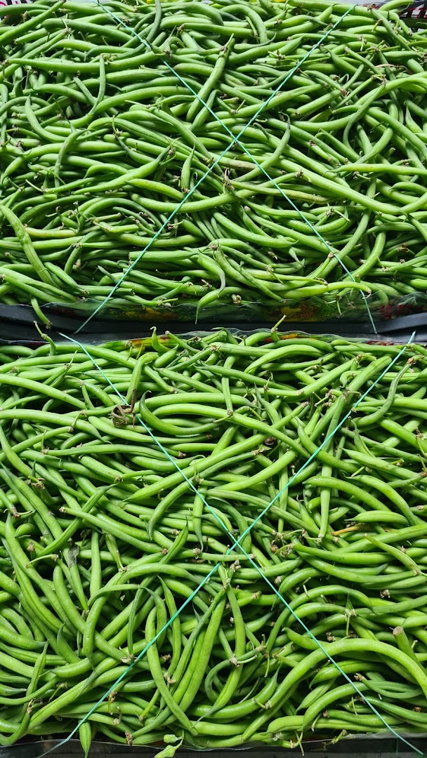 Verde natura