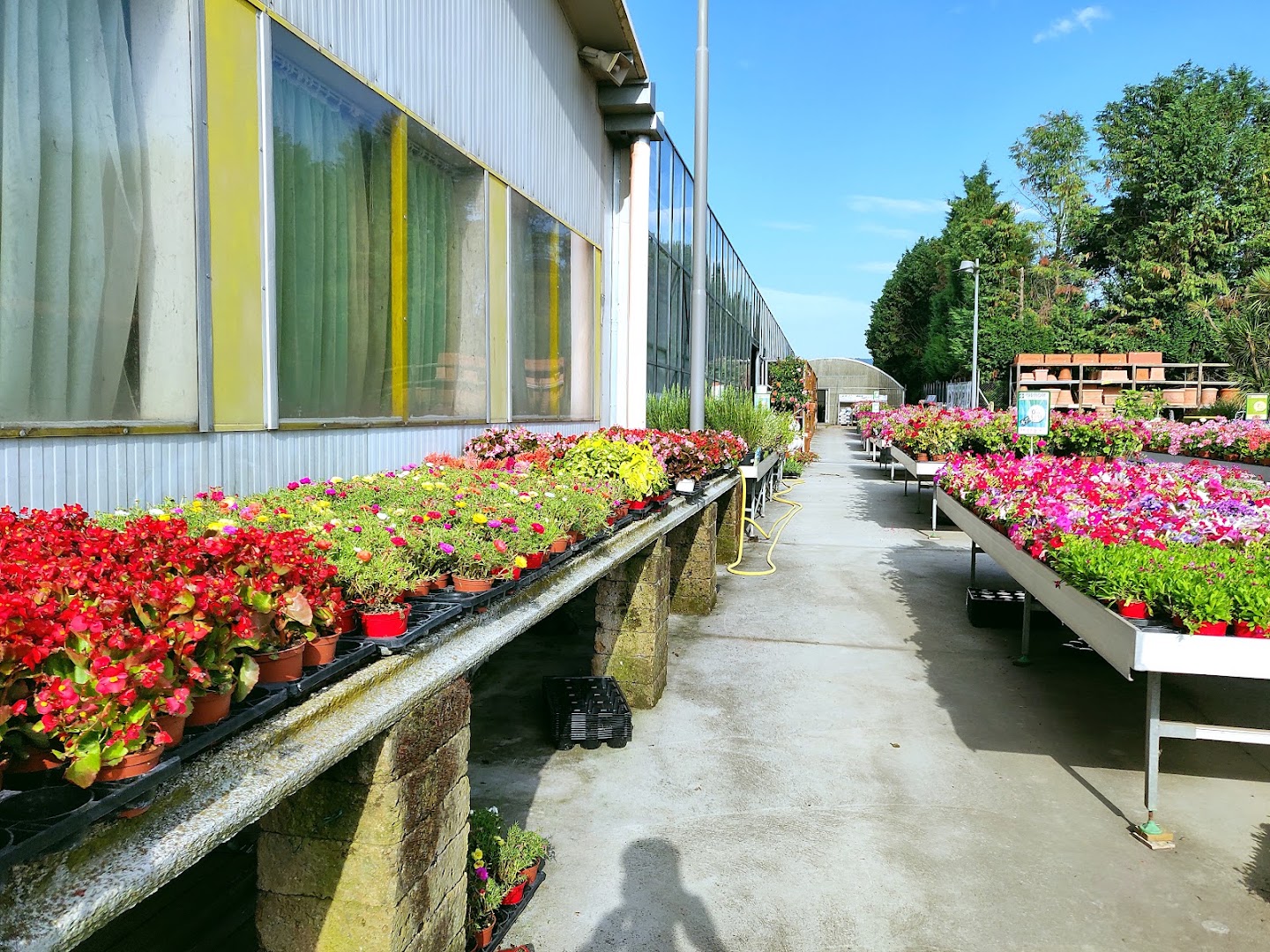 Verdeflora Garden Center - Vivaio