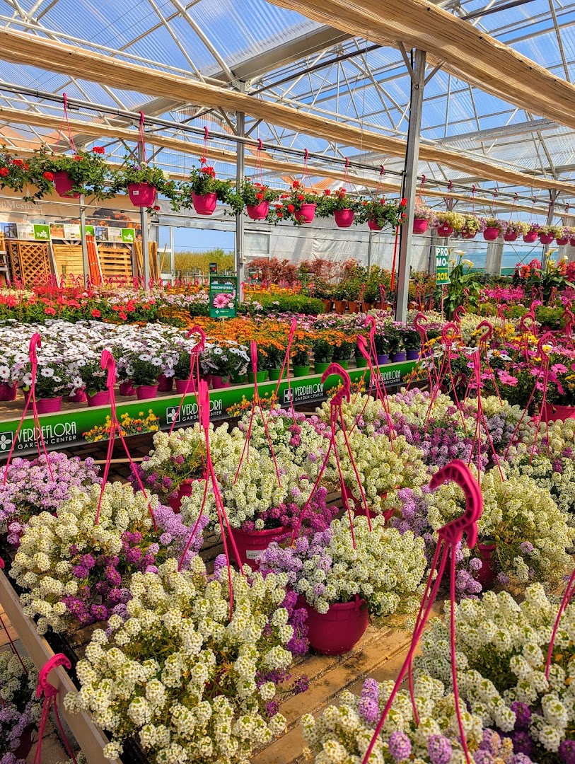 Verdeflora Garden Center - Vivaio