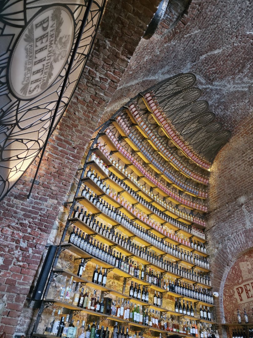 Vermoutheria Peliti's