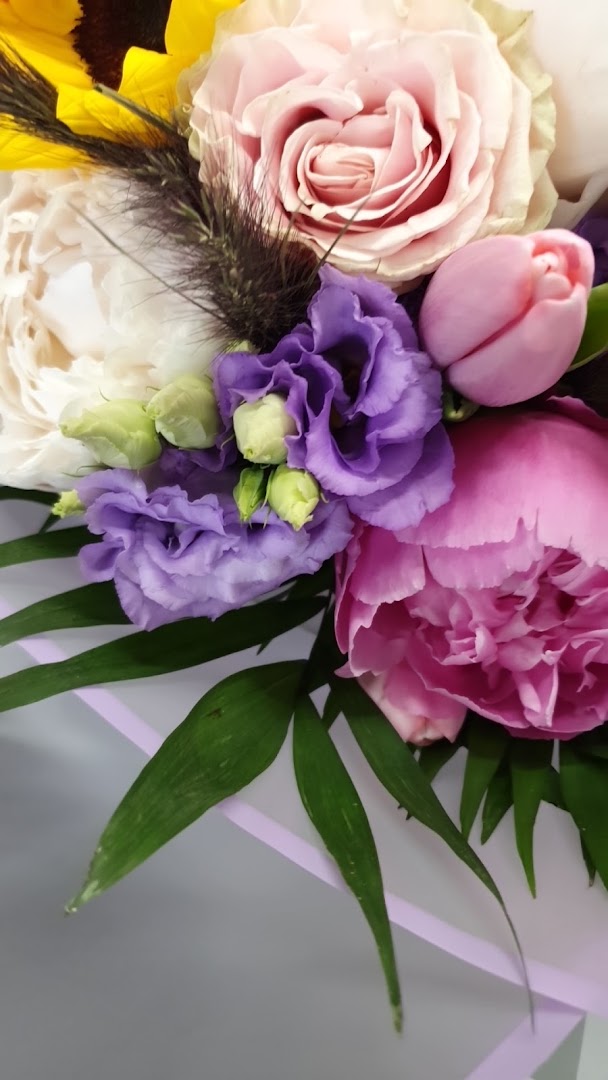Vernisi Piante e Fiori