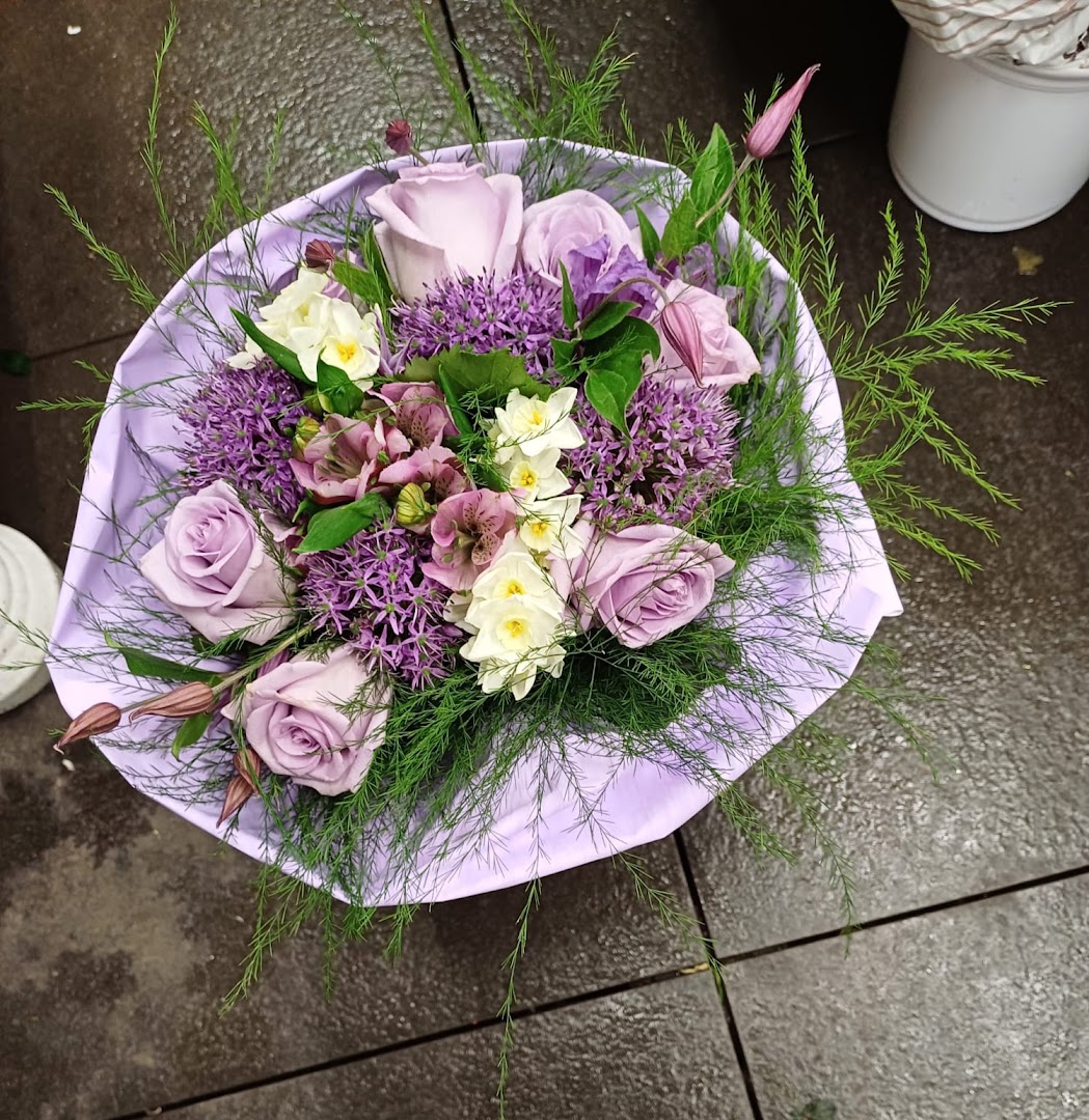 Vernisi Piante e Fiori