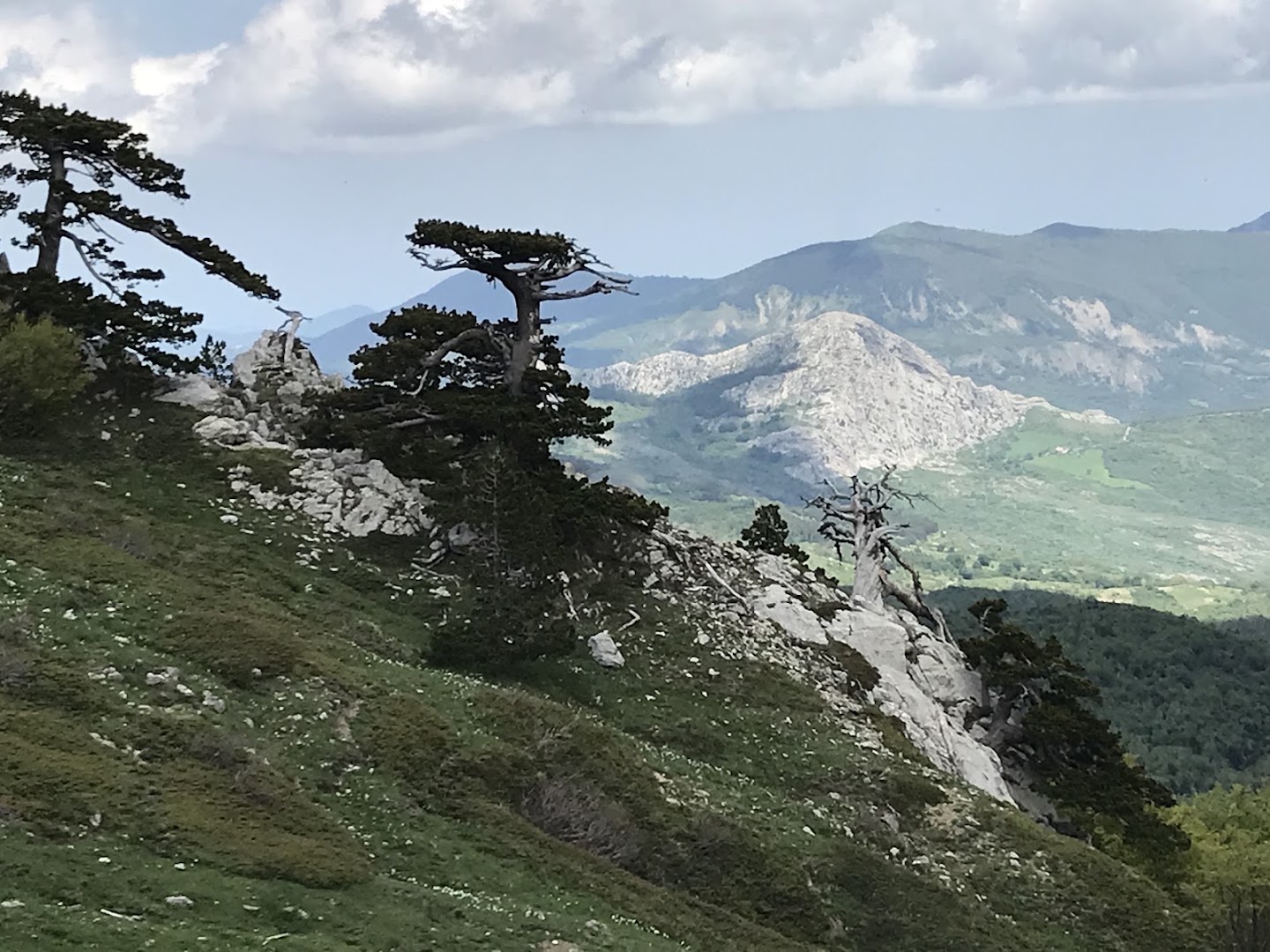 Viaggiare nel Pollino di Giuseppe Cosenza (ufficio non aperto al pubblico), Rotonda
