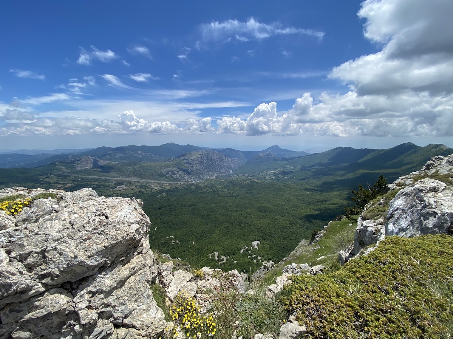 Viaggiare nel Pollino di Giuseppe Cosenza (ufficio non aperto al pubblico)