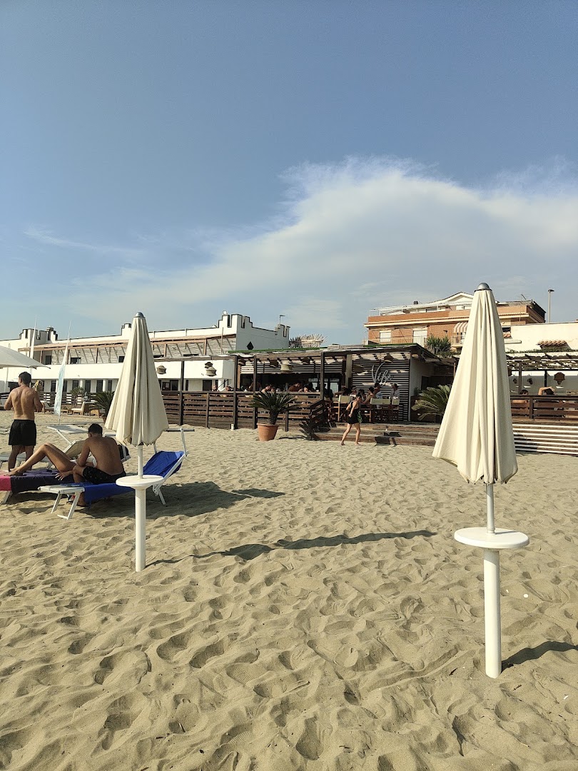 VIBE EMOTIONAL BEACH