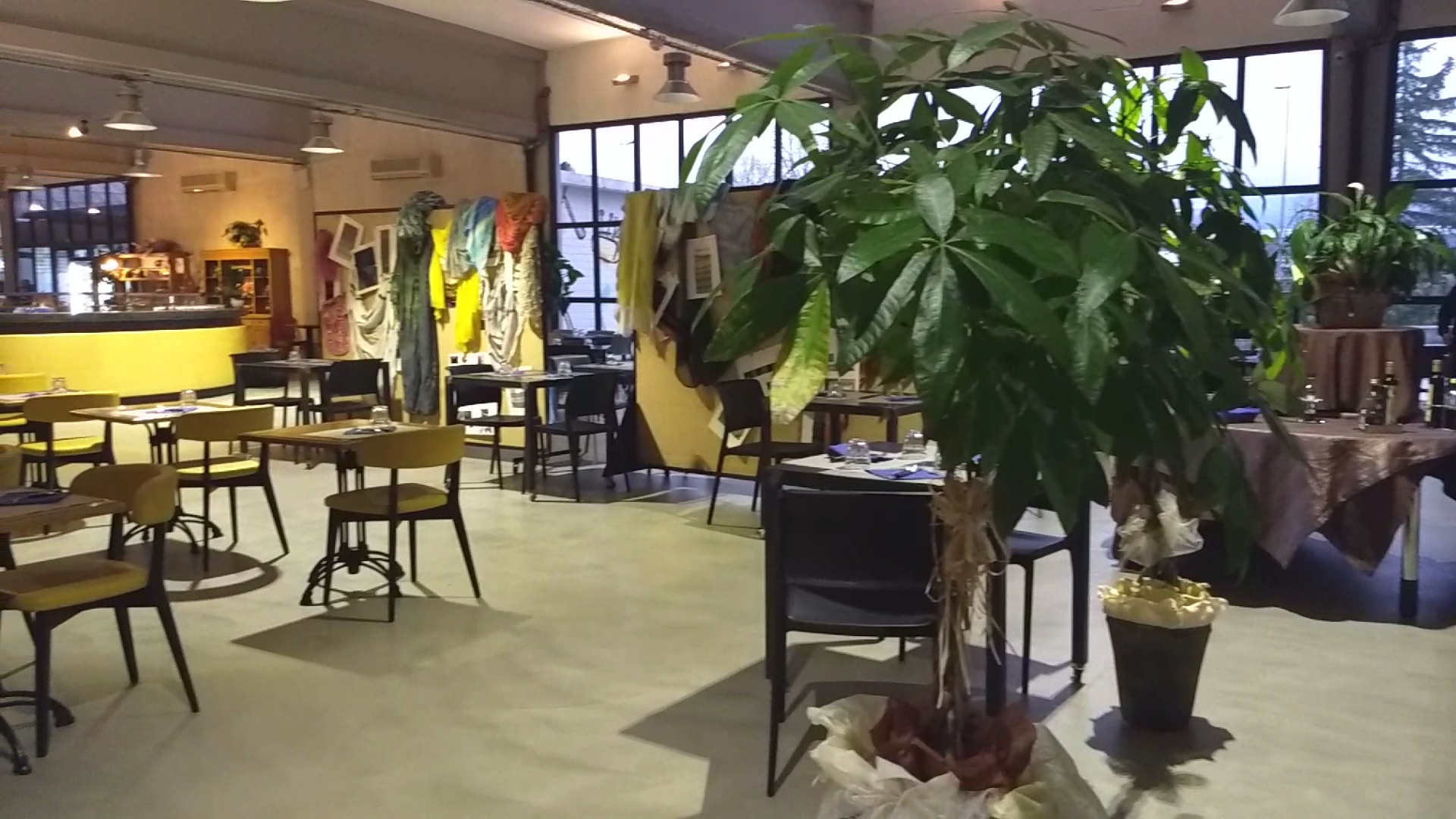 Victory Café Museo